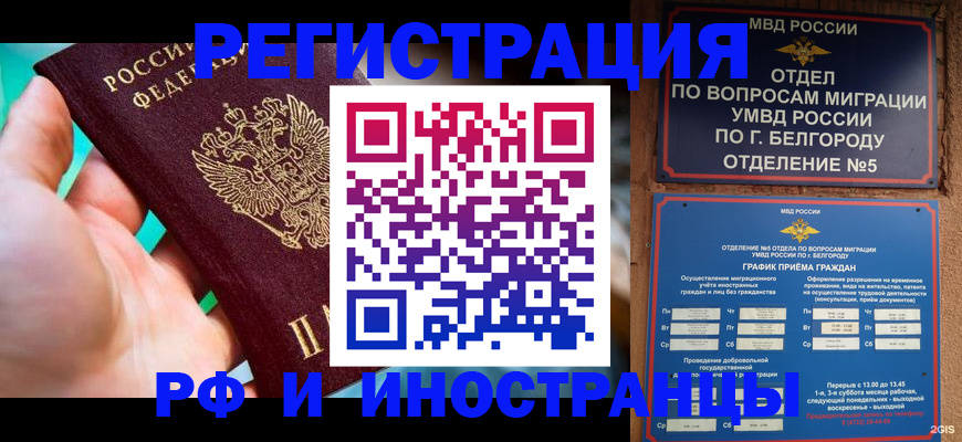 форма 3 в Борзе
